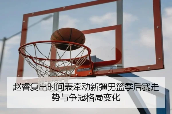 赵睿复出时间表牵动新疆男篮季后赛走势与争冠格局变化