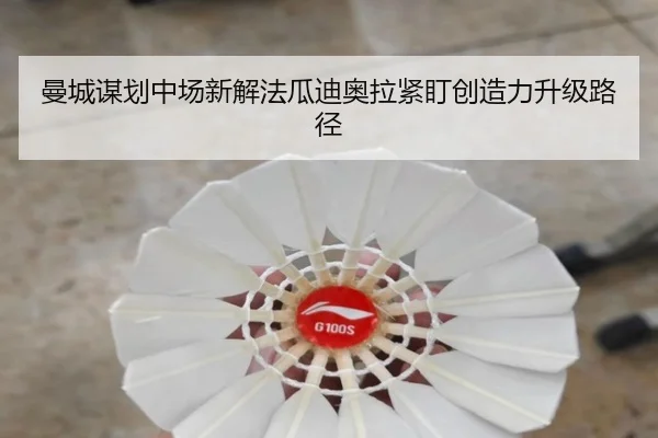 img_1784033976720_38_1_666.jpg